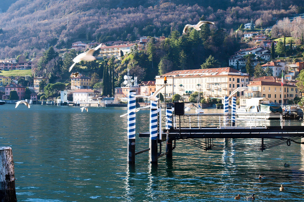 Lago de Como - Menaggio
 - Foto, Imagen