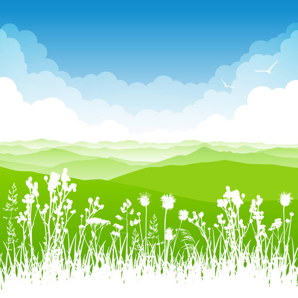 Escena de verano con hierbas silvestres y montañas sobre fondo nublado del cielo - Vector, Imagen