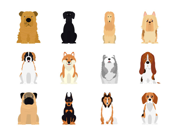 icono conjunto de beagle y perros, estilo plano - Vector, imagen