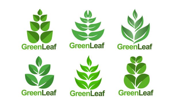 Hoja verde vector logo diseño paquete - Vector, Imagen
