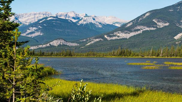 Natural scenery with Talbot Lake and scenic mountains, Alberta, Canada - Photo, Image