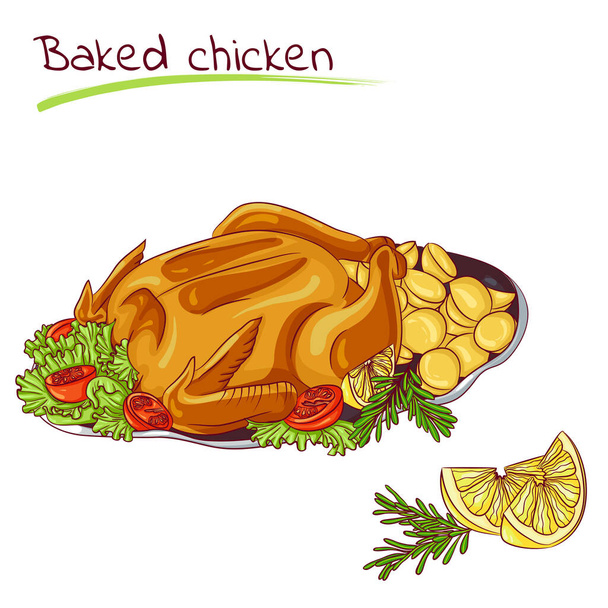 Baked chicken with potatoes - Vector, Image