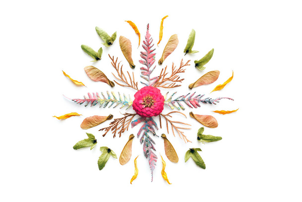 Mandala de otoño hecha de helecho seco, semillas y flores sobre fondo blanco. Acostado. Corta.. - Foto, imagen