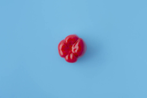 red bell pepper on a blue background. Vegetables. - Valokuva, kuva