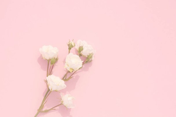 ピンクの背景に白い小さなバラの春、コピースペース。最小限のスタイルのフラットレイアウト。グリーティングカードの招待状。3月8日2月14日誕生日バレンタイン母の日のコンセプト. - 写真・画像