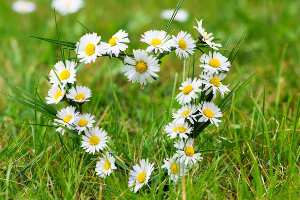 Heart of daisies in a meadow - Photo, Image