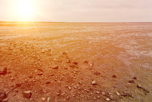 dry sea arid land effect from Spring tides with sunny sky - Photo, Image