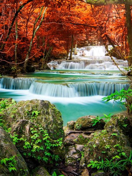 Doğada inanılmaz, sonbahar mevsiminde renkli sonbahar ormanlarında güzel şelale.  - Fotoğraf, Görsel