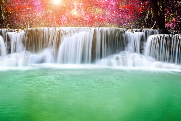 Incredibile in natura, bella cascata nella colorata foresta autunnale nella stagione autunnale  - Foto, immagini