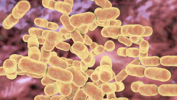 Бактерии Кингеллы, 3D иллюстрация. Они колонизируют горло детей и иногда вызывают инвазивные заболевания у детей, такие как остеомиелит, септический артрит, бактериемия и эндокардит - Фото, изображение