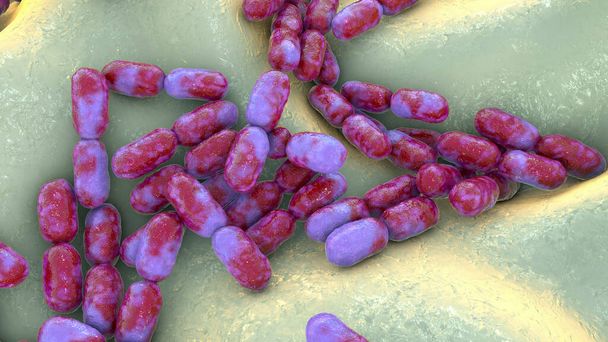 Kingella bacteria, 3D illustration. They colonize children's throat and occasionally cause invasive diseases in children, such as osteomyelitis, septic arthritis, bacteremia and endocarditis - Photo, Image
