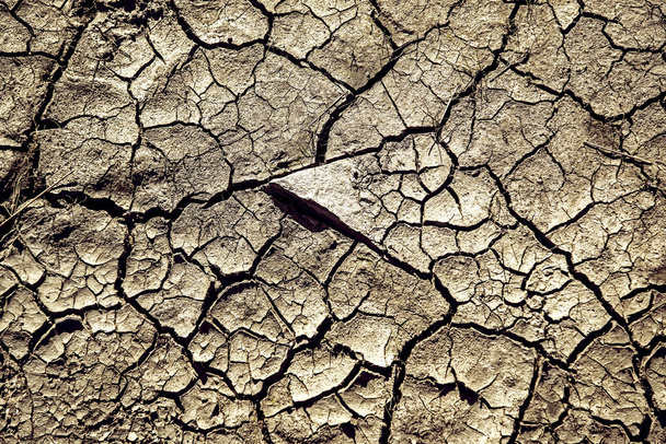 Ραγισμένο έδαφος έδαφος φόντο. Η παγκόσμια έλλειψη νερού στον πλανήτη. - Φωτογραφία, εικόνα