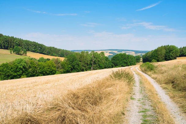 route de gravier à travers les champs dans un paysage vallonné - Photo, image