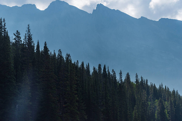 majestic landscape with scenic mountains in alberta, canada - Zdjęcie, obraz