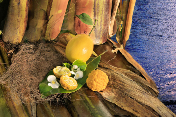 Limone limone e fiori selvatici su bambù
 - Foto, immagini