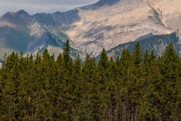 Природный пейзаж в Национальном парке Банф, Канада - Фото, изображение