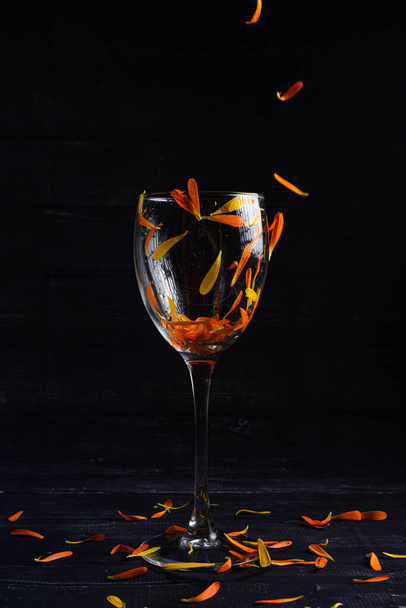 Wineglasses with yellow petals on black background - Фото, изображение