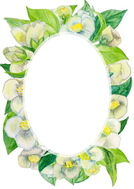 白いジャスミンの花。手描きの植物の花のポスター、招待。結婚式のステーショナリーを印刷するために使用できます。. - 写真・画像