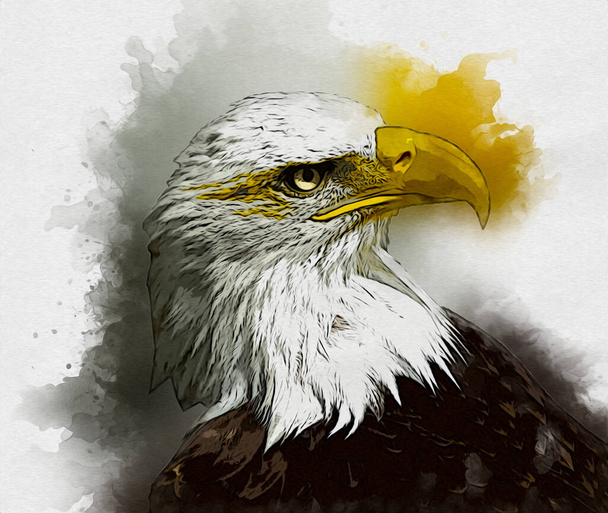 Águila calva swoop aterrizaje mano dibujar y pintar sobre fondo blanco ilustración - Foto, imagen