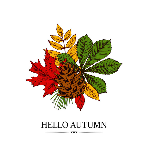 Ručně kreslený podzimní design s kaštanovými, javorovými a ostružinovými listy a pinekonem izolovaným na bílém pozadí. Vektorová ilustrace v barevném náčrtu. - Vektor, obrázek