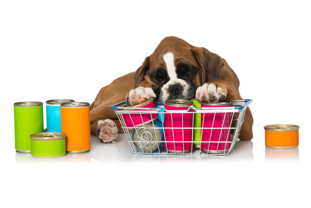 Puppy with canned food isolated on white - Photo, Image