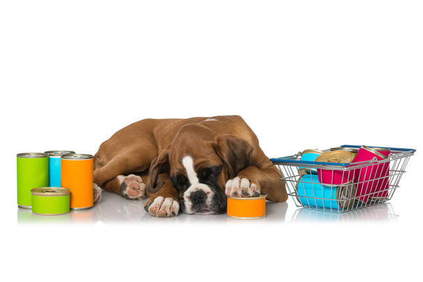 Cachorro con alimentos enlatados aislados en blanco - Foto, imagen