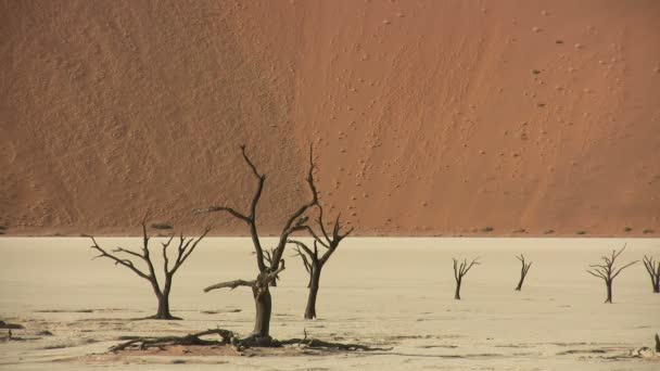 τοπίο της ερήμου Namib, Ναμίμπια - Πλάνα, βίντεο