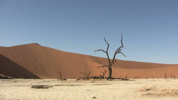 Namib Desert landscape, Namibia - Footage, Video
