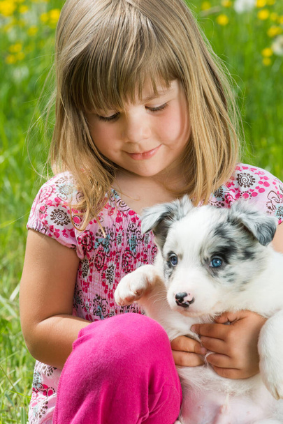 春の牧草地で子犬と女の子 - 写真・画像