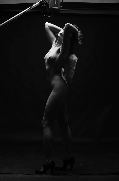 hermosa mujer desnuda con alas de ángel decorativas posando sobre fondo oscuro     - Foto, imagen