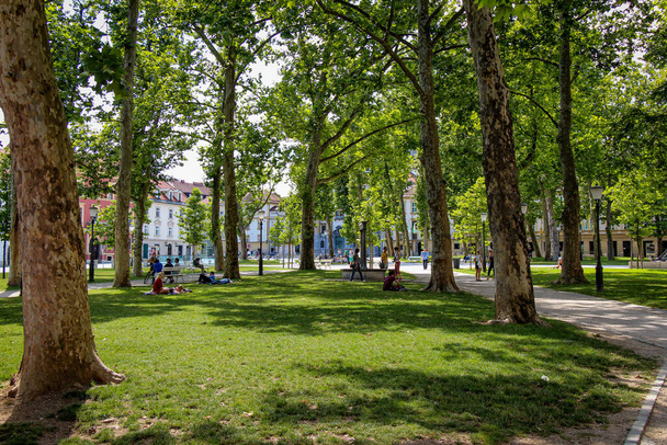 Ljubljana, Slovenia - July 16th 2018: The park at Congress Square in the center of Ljubljana on a summers day, Slovenia, with the University of Ljubljana on the background - Foto, afbeelding