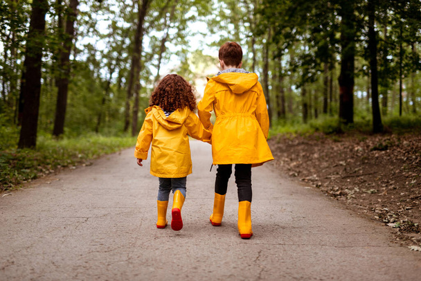 Unrecognizable siblings walking on path in forest - Foto, Imagen