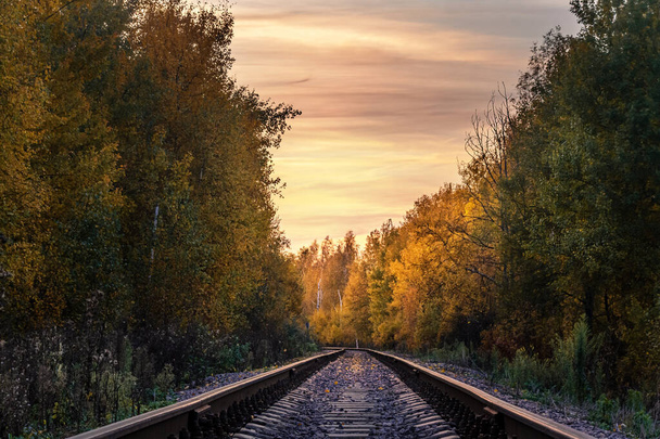 秋の日没時に森の中の鉄道は - 写真・画像