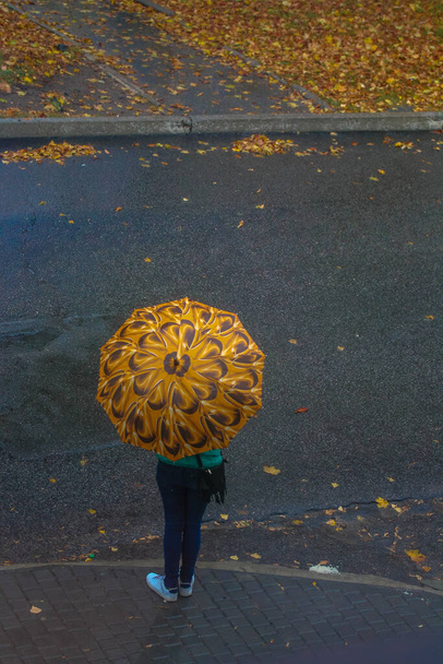 Sarı bir şemsiyenin altında, sonbahar yağmurlu bir günde sokakta yürüyen bir kadın.. - Fotoğraf, Görsel