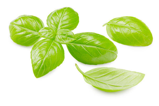 Basil leaves isolated on white background. Macro - Фото, зображення