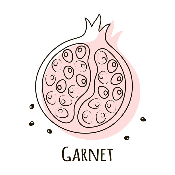 pomegranate fruit vector illustration isolated on white, creative card, scandinavian style - Vector, Imagen