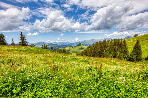 senderismo cerca de les musgos en los Alpes suizos, verano - Foto, Imagen