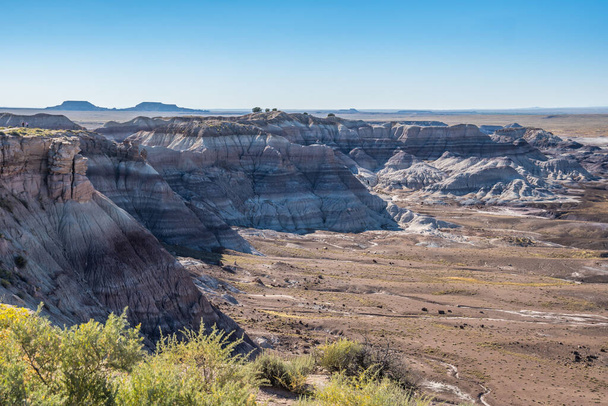 Το μονοπάτι Blue Mesa στο Εθνικό Πάρκο Απολιθωμένου Δάσους της Αριζόνα - Φωτογραφία, εικόνα