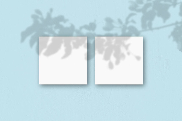 2 fogli quadrati di carta bianca strutturata sullo sfondo della parete blu. Il Mockup si sovrappone alle ombre delle piante. La luce naturale proietta ombre da una pianta esotica.Posa piatta, vista dall'alto. Orientamento orizzontale - Foto, immagini