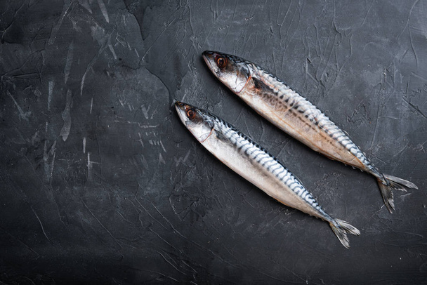 Raw whole mackerel on black background, top view with copy space. - Valokuva, kuva