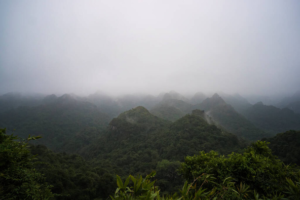 Vista desde el pico en el Parque Nacional Cat Ba. Ha Long, Vietnam. Halong Bay. Selva densa. Los matorrales en las montañas. - Foto, imagen