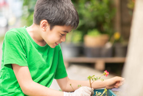 Маленький хлопчик садівництво та квіти на подвір'ї
 - Фото, зображення