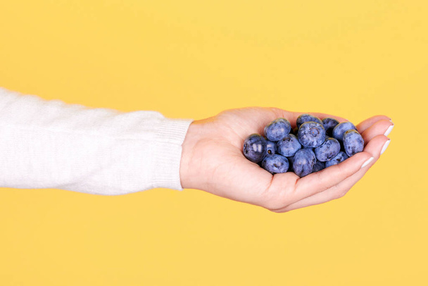 Fresh blueberry in hand, isolated. - Foto, Imagem