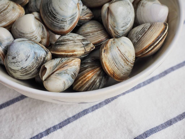 Свіже море натуральна їжа молюск
 - Фото, зображення