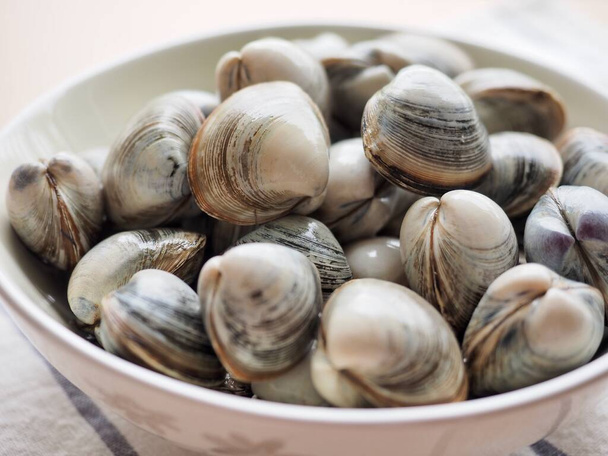 Fresh sea natural food clam - Photo, Image