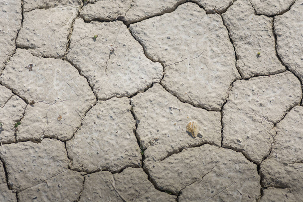 cracks in a dry soil with lime in a quarry - Photo, Image