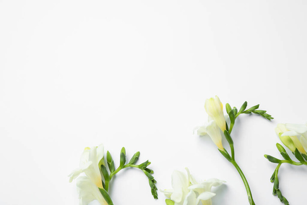 Beautiful freesia flowers on white background, top view - Valokuva, kuva