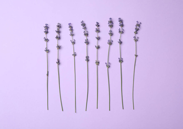 Beautiful lavender flowers on violet background, flat lay - Photo, Image