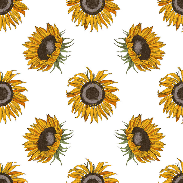 Hand drawn seamless pattern with sunflowers - Vector, imagen