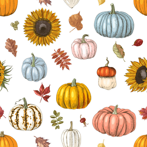 Seamless pattern with pumpkins and sunflowers - Vector, imagen